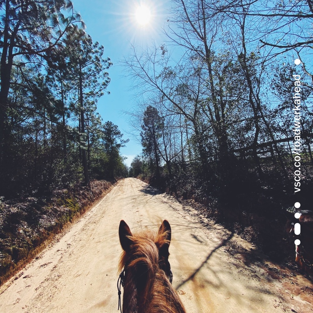 Meet your Posher, Lily